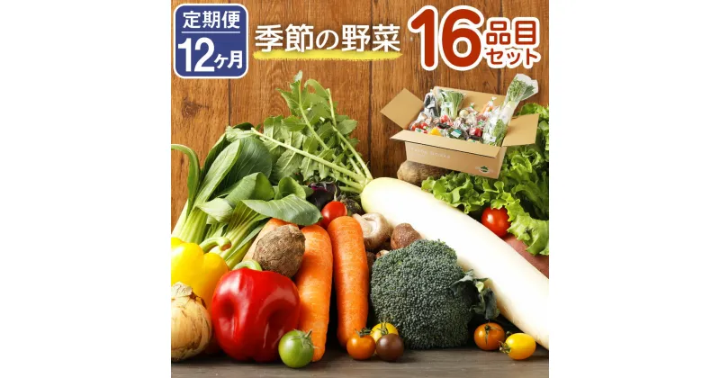 【ふるさと納税】【定期便12回】 季節の野菜 16品目 セット 定期便 12ヶ月連続 野菜 やさい 詰め合わせ 旬の野菜 ランダム おまかせ 冷蔵 国産 春 旬 春野菜 送料無料