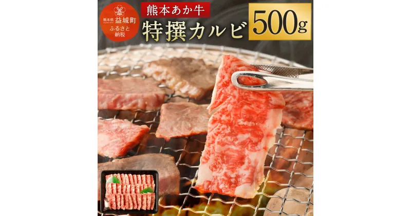 【ふるさと納税】熊本あか牛 特選カルビ 500g 焼き肉 焼肉 やきにく BBQ バーベキュー カルビ あか牛 和牛 牛肉 お肉 精肉 冷凍 熊本県産 送料無料