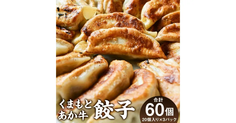 【ふるさと納税】くまもとあか牛100％餃子 合計60個 20個入り×3パック 赤牛 ぎょうざ 惣菜 おかず 国産 冷凍 送料無料