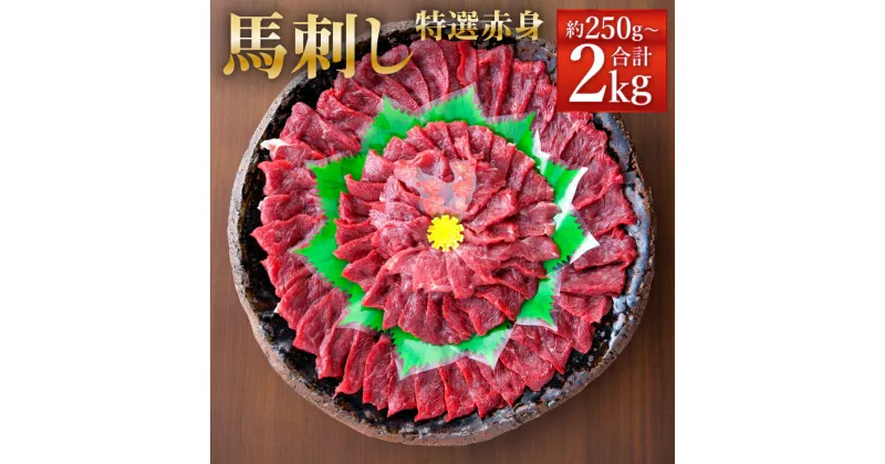 【ふるさと納税】熊本 馬刺し 特選 赤身 約250g/約500g/約800g/約1kg/約2kg 1パック約50g タレ付き 生姜付き 馬刺 ばさし 馬肉 馬 赤身 刺身 ブロック 冷凍 熊本県 送料無料