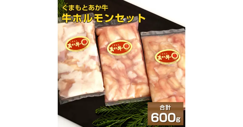 【ふるさと納税】くまもとあか牛ホルモンセット 200g×3袋 合計600g 熊本県産 牛肉 ホルモン 牛ホルモン 小腸 もつ鍋 焼肉 冷凍 パック 小分け 送料無料