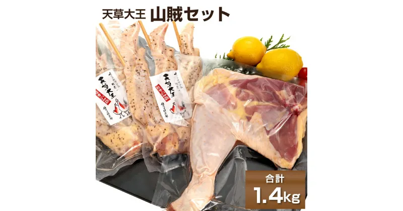 【ふるさと納税】天草大王 山賊セット 幻の鶏 キャンプ BBQ 骨付きもも肉800g 大手羽先3本×2セット 熊本県産 鶏肉 もも肉 骨付きもも肉 冷凍 パック 小分け 送料無料