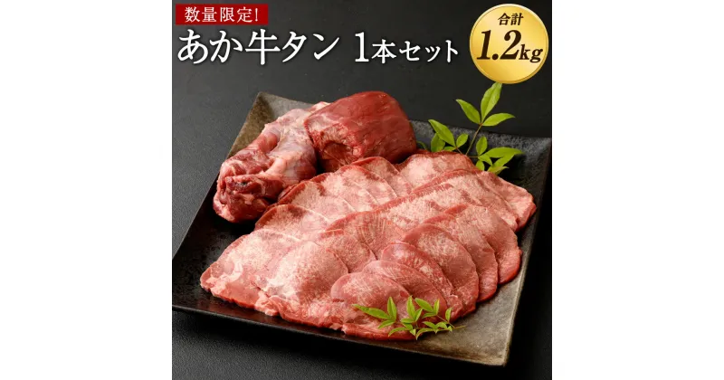 【ふるさと納税】【数量限定】熊本あか牛タン 1本セット 合計1.2kg（焼き肉用 800g、煮こみ用 400g）タン 牛タン お肉 赤牛 ブロック スライス 焼肉 煮込み 国産 熊本県産 送料無料