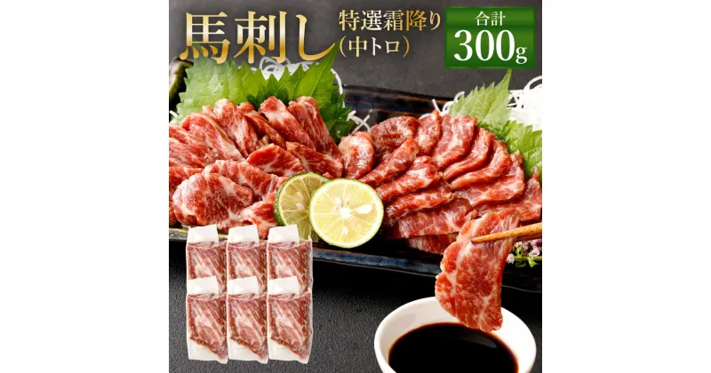 【ふるさと納税】熊本 馬刺し 特選霜降り(中トロ) 300g(50g×6個) タレ付き(6袋) 生姜付き(6袋) 馬刺 ばさし 馬肉 馬 特選霜降り 刺身 ブロック 冷凍 熊本県 送料無料