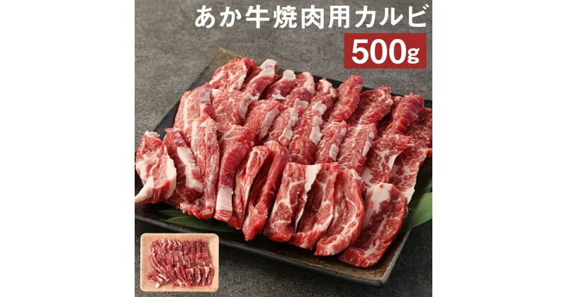 【ふるさと納税】あか牛 焼肉用 カルビ 500g 焼き肉 GI 赤身 お肉 牛肉 熊本県産 九州産 国産 冷凍 送料無料