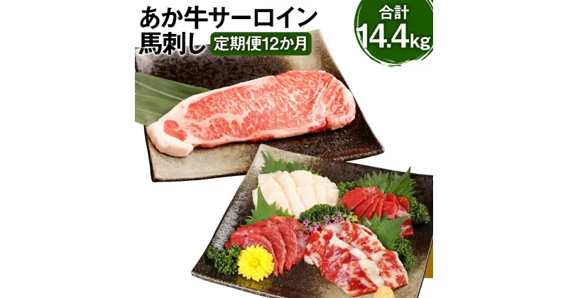 【ふるさと納税】【定期便12か月】あか牛サーロイン肉 1kg（5枚～6枚）馬刺し 200g 1.2kg×12回 合計14.4kg 食べ比べセット あか牛 和牛 牛 サーロイン 牛肉 肉 ステーキ用 馬刺し 馬刺 馬 赤身 霜降り たてがみ 国産 九州産 熊本県産 冷凍 送料無料