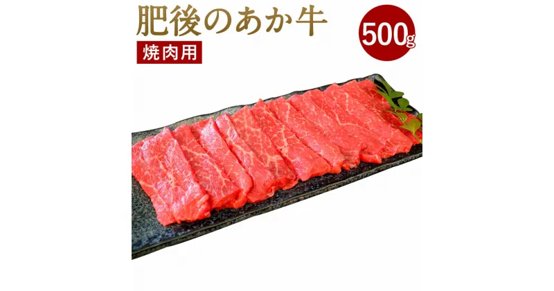 【ふるさと納税】肥後のあか牛 焼肉用 500g (熊本県産和牛) G-4 牛肉 お肉 九州産 国産 焼き肉 冷凍 送料無料