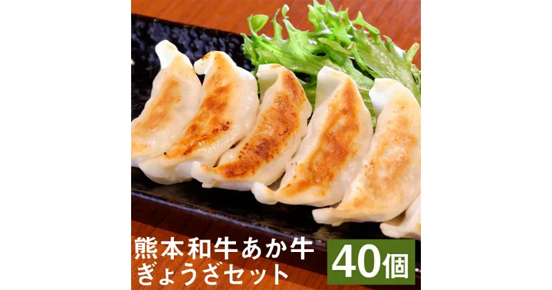 【ふるさと納税】熊本和牛あか牛ぎょうざセット 20個入り×2箱 合計40個 熊本あか牛餃子 ぎょうざ 餃子 あか牛 牛肉 おかず 惣菜 冷凍 送料無料