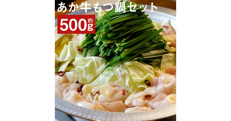 【ふるさと納税】あか牛もつ鍋セット あか牛ミックスホルモン 約500g もつ鍋スープ 500ml×2パック もつ鍋 鍋セット ホルモン 鍋 あか牛 牛肉 冷凍 送料無料