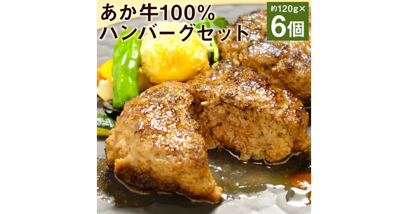 【ふるさと納税】あか牛100％ハンバーグセット 約120g×6個 合計約720g あか牛のたれ200ml付き ハンバーグ 惣菜 おかず 個包装 小分け あか牛 牛肉 冷凍 送料無料