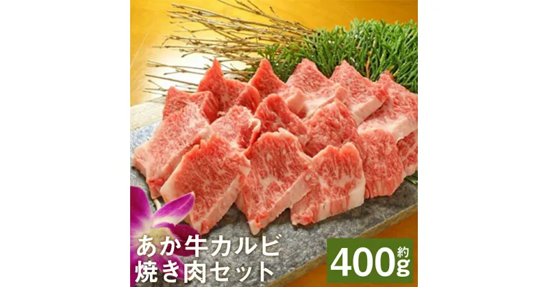 【ふるさと納税】あか牛カルビ焼き肉セット 約400g あか牛のたれ200ml付き カルビ バラ スライス済み 焼肉 あか牛 牛肉 冷凍 送料無料