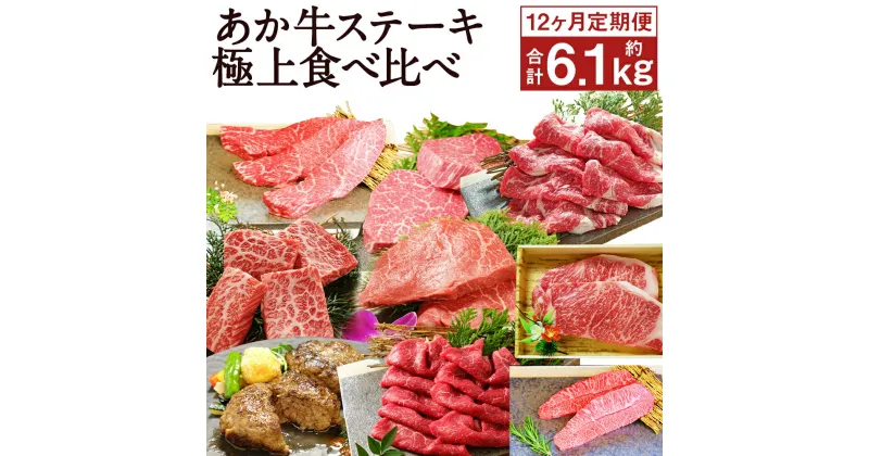 【ふるさと納税】【12ヶ月定期便】あか牛ステーキ12種 極上食べ比べ 計12回 あか牛 ステーキ サーロイン ランプ 肩ロース イチボ カイノミ ミスジ ザブトン シャトーブリアン リブロース モモ 12回お届け 熊本県産 お肉 肉 牛肉 和牛 冷凍 九州産 国産 送料無料