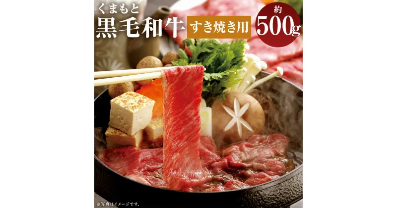 【ふるさと納税】くまもと黒毛和牛 すきやき用 約500g お肉 スライス済み すき焼き用 熊本県産 牛肉 九州産 国産 冷凍 送料無料