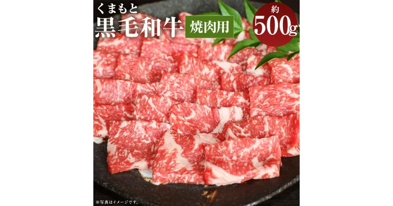 【ふるさと納税】くまもと黒毛和牛 焼肉用 約500g お肉 焼き肉 熊本県産 牛肉 九州産 国産 冷凍 送料無料