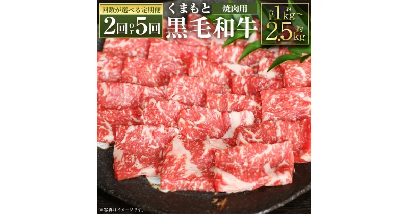 【ふるさと納税】【選べる定期便】くまもと黒毛和牛 焼肉用 約500g 2ヶ月定期便/5ヶ月定期便 お肉 焼き肉 熊本県産 牛肉 九州産 国産 冷凍 送料無料