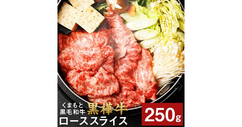 【ふるさと納税】くまもと黒毛和牛 黒樺牛 A4～A5等級 ローススライス すき焼き用 250g 牛肉 牛 お肉 鍋 すきやき しゃぶしゃぶ 薄切り スライス 黒毛和牛 国産 九州産 熊本県産 冷凍 送料無料