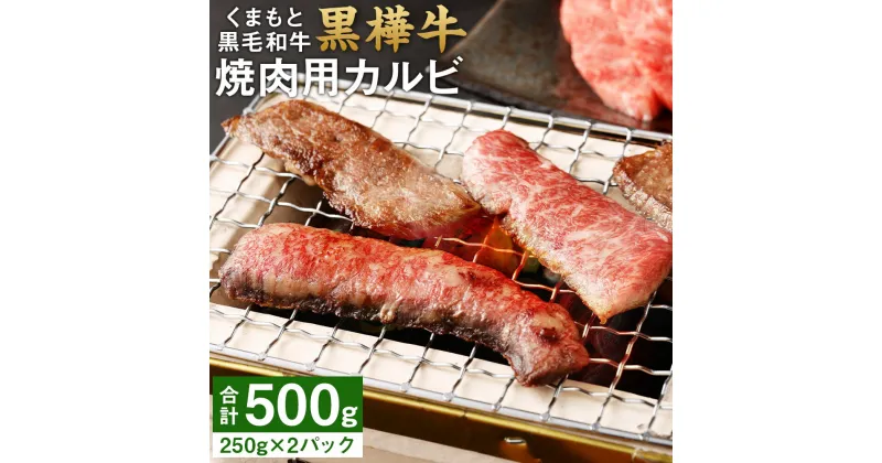 【ふるさと納税】くまもと黒毛和牛 黒樺牛 A4～A5等級 焼肉用カルビ 合計500g 250g×2パック 牛肉 牛 霜降り 赤身 お肉 焼き肉 BBQ 黒毛和牛 国産 九州産 熊本県産 冷凍 送料無料