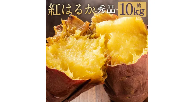 【ふるさと納税】紅はるか 秀品 約10kg S～2L混合 べにはるか さつまいも 紅蜜芋 芋 いも 野菜 益城町産 熊本県産 九州産 送料無料