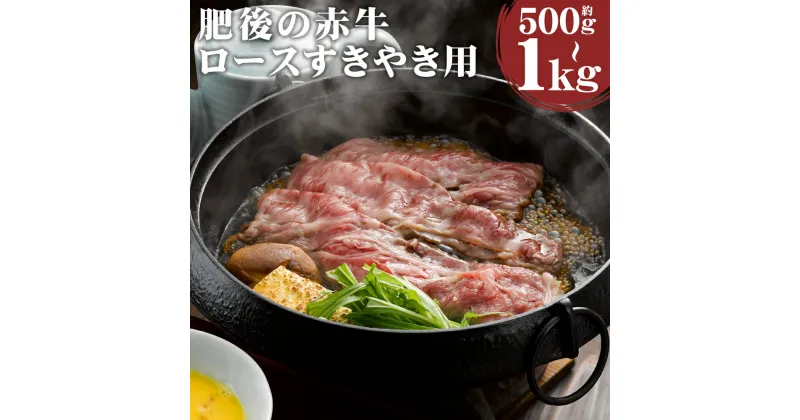 【ふるさと納税】肥後の赤牛 ロース すきやき用 約500g/約1kg 選べる内容量 すき焼き スライス あかうし 赤牛 牛肉 和牛 お肉 熊本県産 九州産 国産 冷凍 送料無料