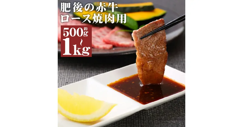 【ふるさと納税】肥後の赤牛 ロース 焼肉用 約500g/約1kg 選べる内容量 焼き肉 カット済み あかうし 赤牛 牛肉 和牛 お肉 熊本県産 九州産 国産 冷凍 送料無料