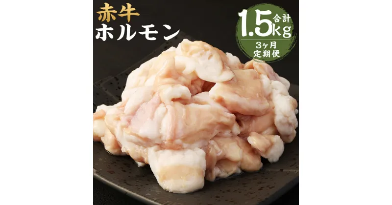 【ふるさと納税】【3ヶ月定期便】赤牛 ホルモン 合計1.5kg 250g×2パック×3回お届け 3ヶ月 定期便 小腸 シロホルモン もつ 和牛 カット済み 加熱調理用 熊本県産 九州産 国産 冷凍 送料無料