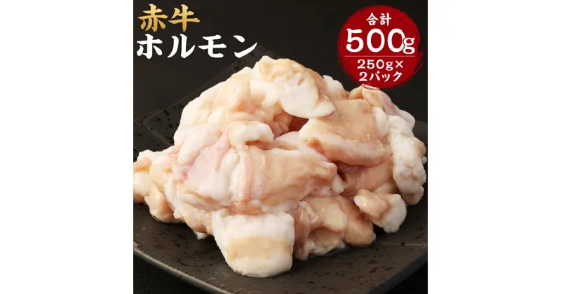 【ふるさと納税】赤牛 ホルモン 合計500g 250g×2パック 小腸 シロホルモン もつ 和牛 カット済み 加熱調理用 熊本県産 九州産 国産 冷凍 送料無料