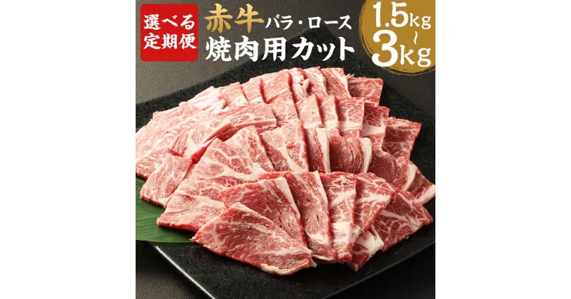 【ふるさと納税】【選べる定期便】赤牛 焼肉用 カット バラ・ロース 500g 3ヶ月定期便/6ヶ月定期便 牛肉 和牛 カット済み 焼き肉 熊本県産 九州産 国産 冷凍 送料無料