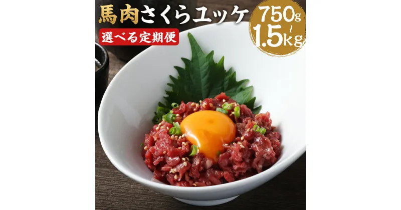 【ふるさと納税】【選べる定期便】馬肉さくらユッケ 250g 3ヶ月定期便/6ヶ月定期便 1パック50g 馬肉 ユッケ 赤身 カット済み 小分け 熊本肥育 冷凍 送料無料