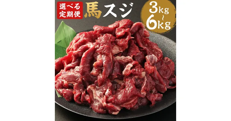 【ふるさと納税】【選べる定期便】馬スジ 合計1kg 3ヶ月定期便/6ヶ月定期便 1パック500g 馬肉 筋 馬すじ 熊本肥育 冷凍 送料無料