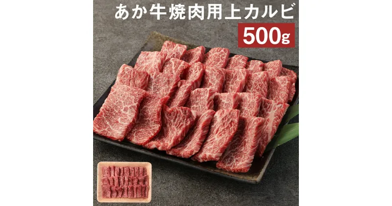 【ふるさと納税】あか牛 焼肉用 上カルビ 500g 焼き肉 GI 赤身 お肉 牛肉 熊本県産 九州産 国産 冷凍 送料無料