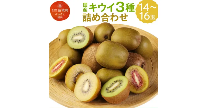 【ふるさと納税】キウイ3種詰め合わせ 約1.8kg 合計14～16玉 ヘイワードキウイ レッドキウイ イエローキウイ 食べ比べ フルーツ 果物 国産 熊本県産 益城町産 送料無料【12月19日までの入金確認で年内発送】【2024年11月下旬～2025年1月下旬に順次発送予定】