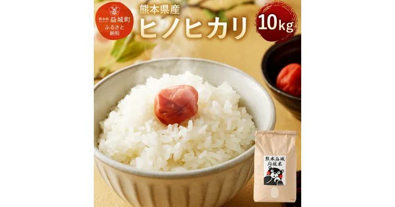 【ふるさと納税】熊本益城応援米 10kg 令和6年産 ヒノヒカリ ひのひかり 米 九州産 国産 熊本県産 送料無料