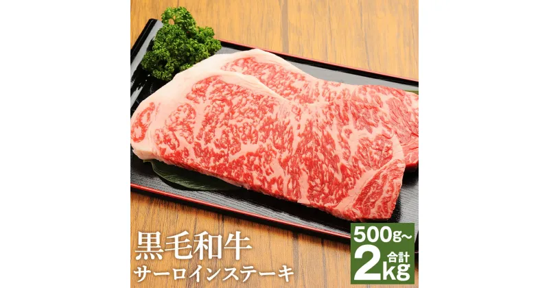 【ふるさと納税】くまもと黒毛和牛 サーロインステーキ 約500g/約1kg/約1.5kg/約2kg 選べる内容量 ソース・胡椒付き 牛肉 和牛 お肉 4等級以上 熊本県産 九州産 国産 冷凍 送料無料