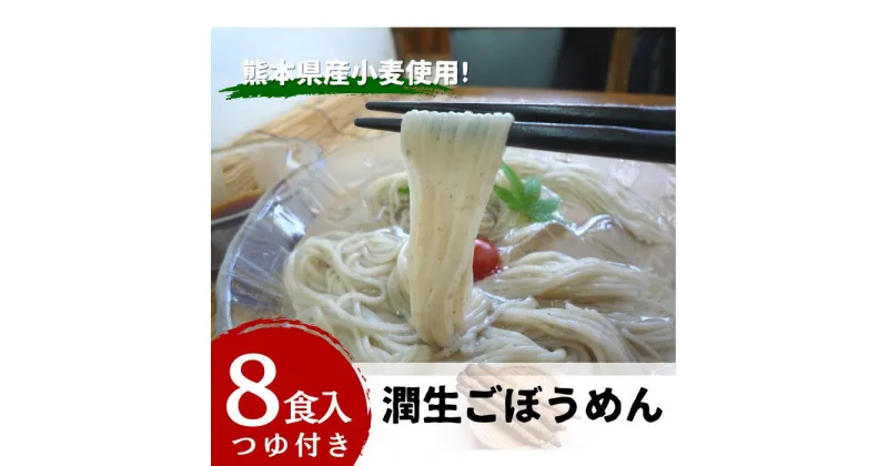 【ふるさと納税】潤生ごぼうめん8食入り