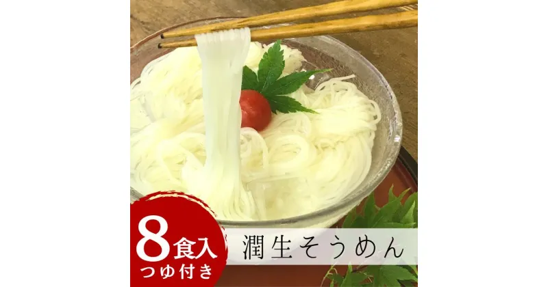 【ふるさと納税】潤生そうめん8食入り