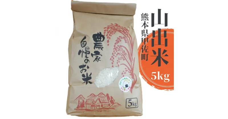 【ふるさと納税】【新米先行受付】甲佐町産　山出米5kg – 令和6年11月以降順次発送 新米 令和6年産 精米 お米 米 しっとり もちもち 甘み おにぎり ごはん 複数原料米 国産 九州産 熊本県 熊本県産 甲佐町