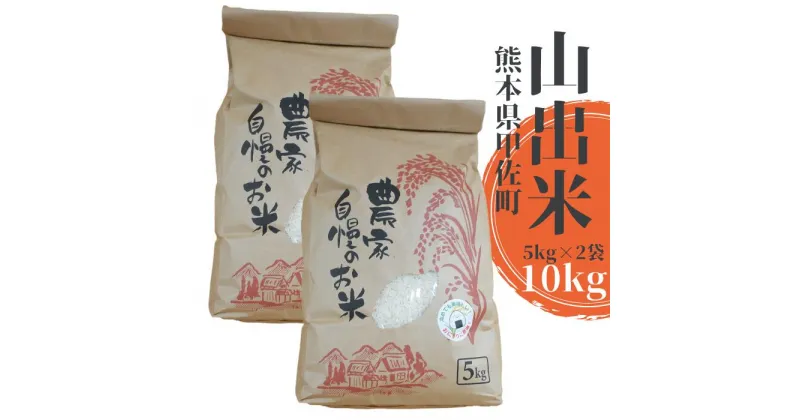 【ふるさと納税】【新米先行受付】甲佐町産　山出米10kg（5kg×2袋） – 令和6年11月以降順次発送 新米 令和6年産 精米 お米 米 しっとり もちもち 甘み おにぎり ごはん 複数原料米 国産 九州産 熊本県 熊本県産 甲佐町