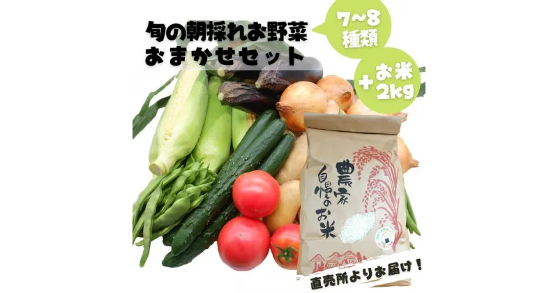 【ふるさと納税】旬のお野菜おまかせセット＆山出米2kg【新米先行受付】 – 令和6年11月以降順次発送 新米 令和6年産 新鮮 野菜 旬 朝採れ 季節 精米 お米 米 しっとり もちもち 甘み おにぎり 複数原料米 セット 詰め合わせ おまかせ 九州産 熊本県 熊本県産 甲佐町