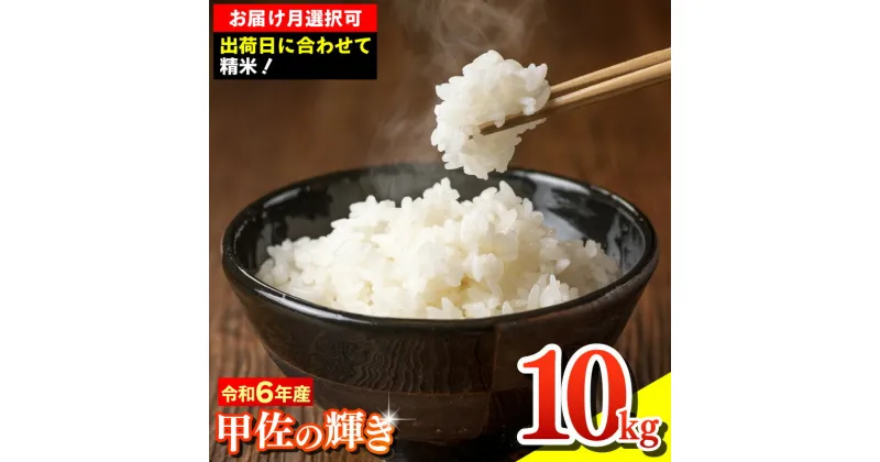 【ふるさと納税】令和6年産『甲佐の輝き』精米10kg（10kg×1袋）【配送月指定可！】／出荷日に合わせて精米【価格改定XF】