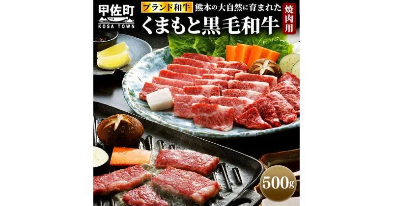 【ふるさと納税】くまもと黒毛和牛焼肉用500g