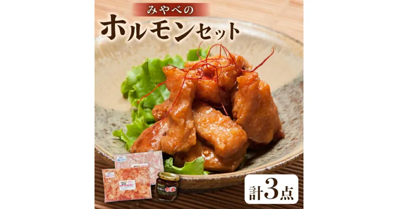 【ふるさと納税】みやべのホルモン 2種 計700g (350g×2P) 専用たれ付き【肉のみやべ】[YAC007]