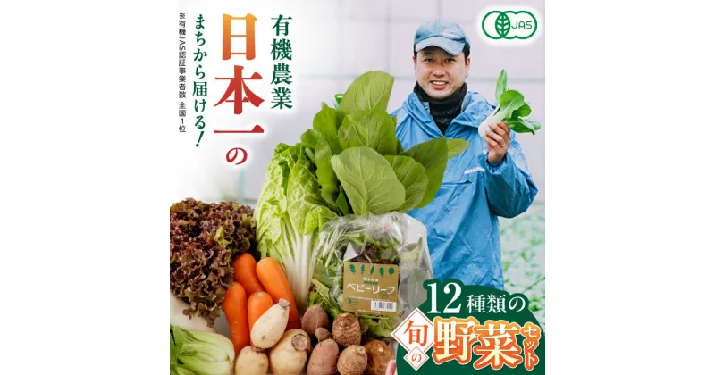 【ふるさと納税】有機野菜 オーガニック 12種 野菜セット 野菜 有機JAS認定 詰め合わせ オーガニック野菜 熊本県産 産地直送 熊本直送 【株式会社 肥後やまと】[YAF001]