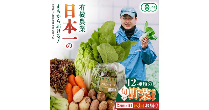 【ふるさと納税】【全3回隔週定期便】 有機野菜 12種セット 野菜 詰め合わせ 熊本県産 産地直送 オーガニック【株式会社 肥後やまと】[YAF004]