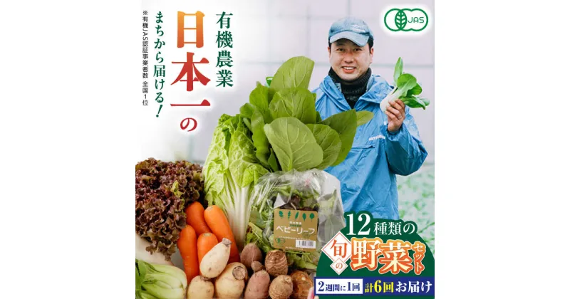 【ふるさと納税】【全6回隔週定期便】有機野菜 12種セット 野菜 詰め合わせ 熊本県産 産地直送 オーガニック【株式会社 肥後やまと】[YAF005]