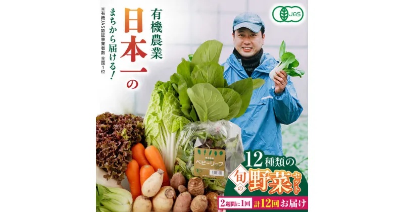 【ふるさと納税】【全12回隔週定期便】有機野菜 12種セット 野菜 詰め合わせ 熊本県産 産地直送 オーガニック【株式会社 肥後やまと】[YAF006]