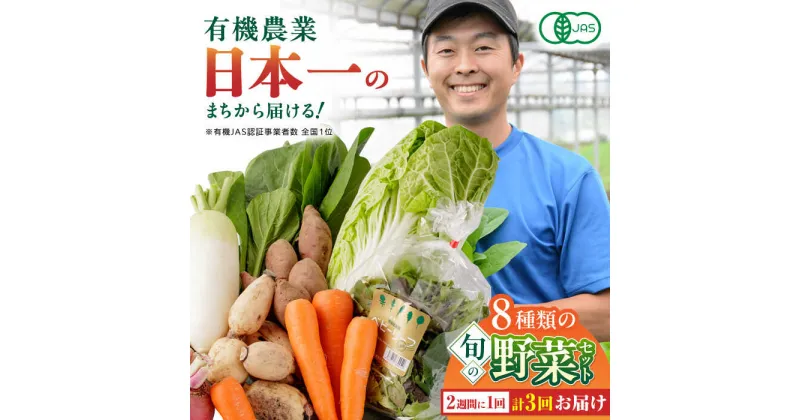 【ふるさと納税】【全3回隔週定期便】有機野菜 8種セット 野菜 詰め合わせ 熊本県産 産地直送 オーガニック【株式会社 肥後やまと】[YAF010]