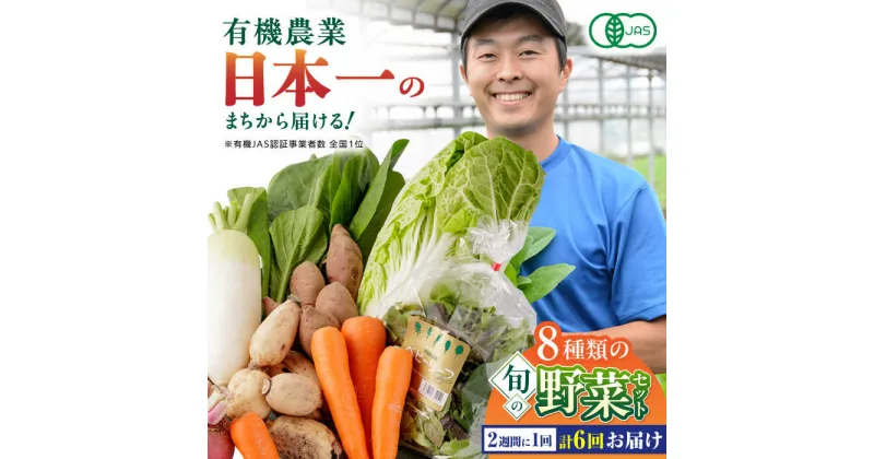 【ふるさと納税】【全6回隔週定期便】有機野菜 8種セット 野菜 詰め合わせ 熊本県産 産地直送 オーガニック【株式会社 肥後やまと】[YAF011]