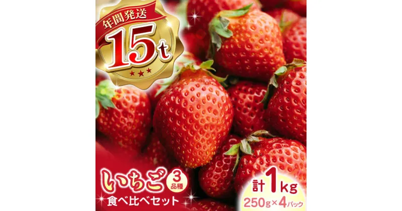 【ふるさと納税】【2024年12月〜順次発送】いちご 3品種 食べ比べセット 計1000g ( 250g × 4P ) 農園直送 産地直送 熊本県産 山都町産 イチゴ 苺 ストロベリー フルーツ 果物 【なかはた農園】[YBI002]