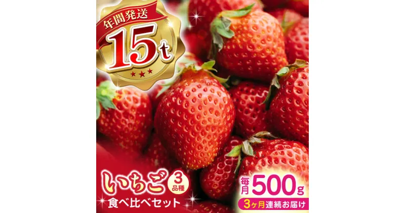 【ふるさと納税】【全3回定期便】【先行予約】いちご 食べ比べセット 総計1.5kg ( 250g × 2P × 3回 ) 農園直送 産地直送 熊本県産 山都町産 イチゴ 苺 ストロベリー フルーツ 果物 【なかはた農園】[YBI013]