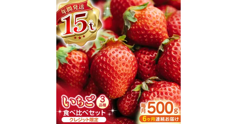 【ふるさと納税】【全6回定期便】【先行予約】いちご 食べ比べセット 総計3.0kg ( 250g × 2P × 6回 ) 農園直送 産地直送 熊本県産 山都町産 イチゴ 苺 ストロベリー フルーツ 果物 【なかはた農園】[YBI014]